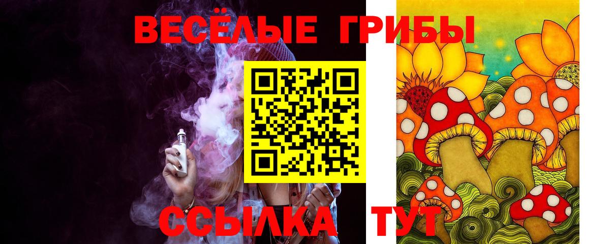 Галлюциногенные грибы MAGIC MUSHROOMS  Псилоцибиновые грибы мицелий  Торжок  Вход с VPN 
